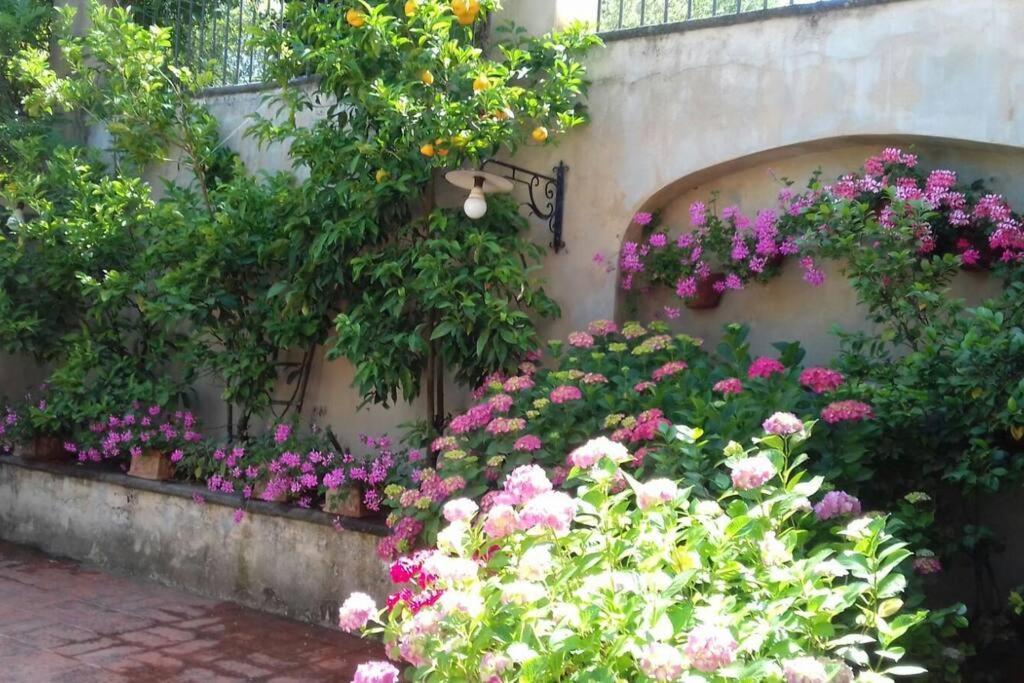 Residenza Fontana del Giglio - luxury villa - private pool garden Castelnuovo Di Porto Esterno foto